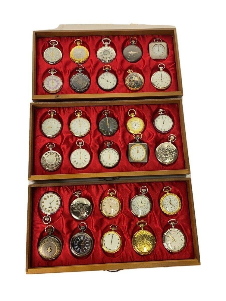 Dea Costco Watch Used