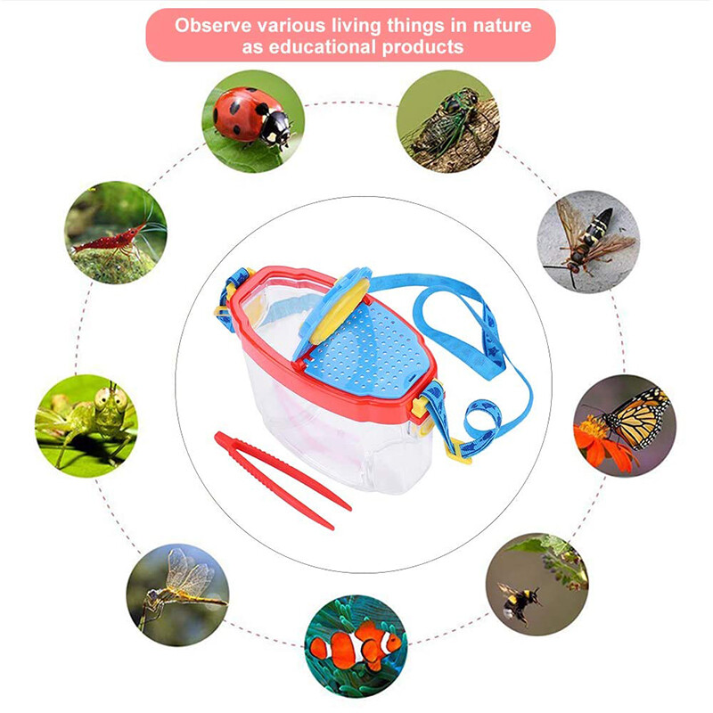 Insect Observation Viewer Transparent Bug Collection Case Children Exploration