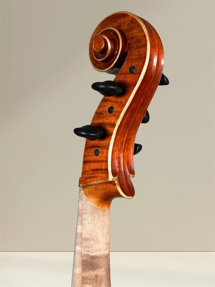 Simon Joseph 5 string cello (cello) da Spalla, to hang