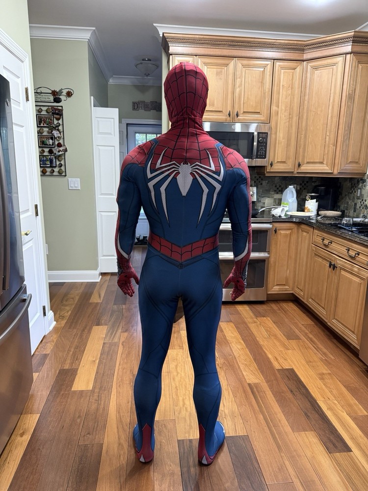 Spider-Man PS5 Costume