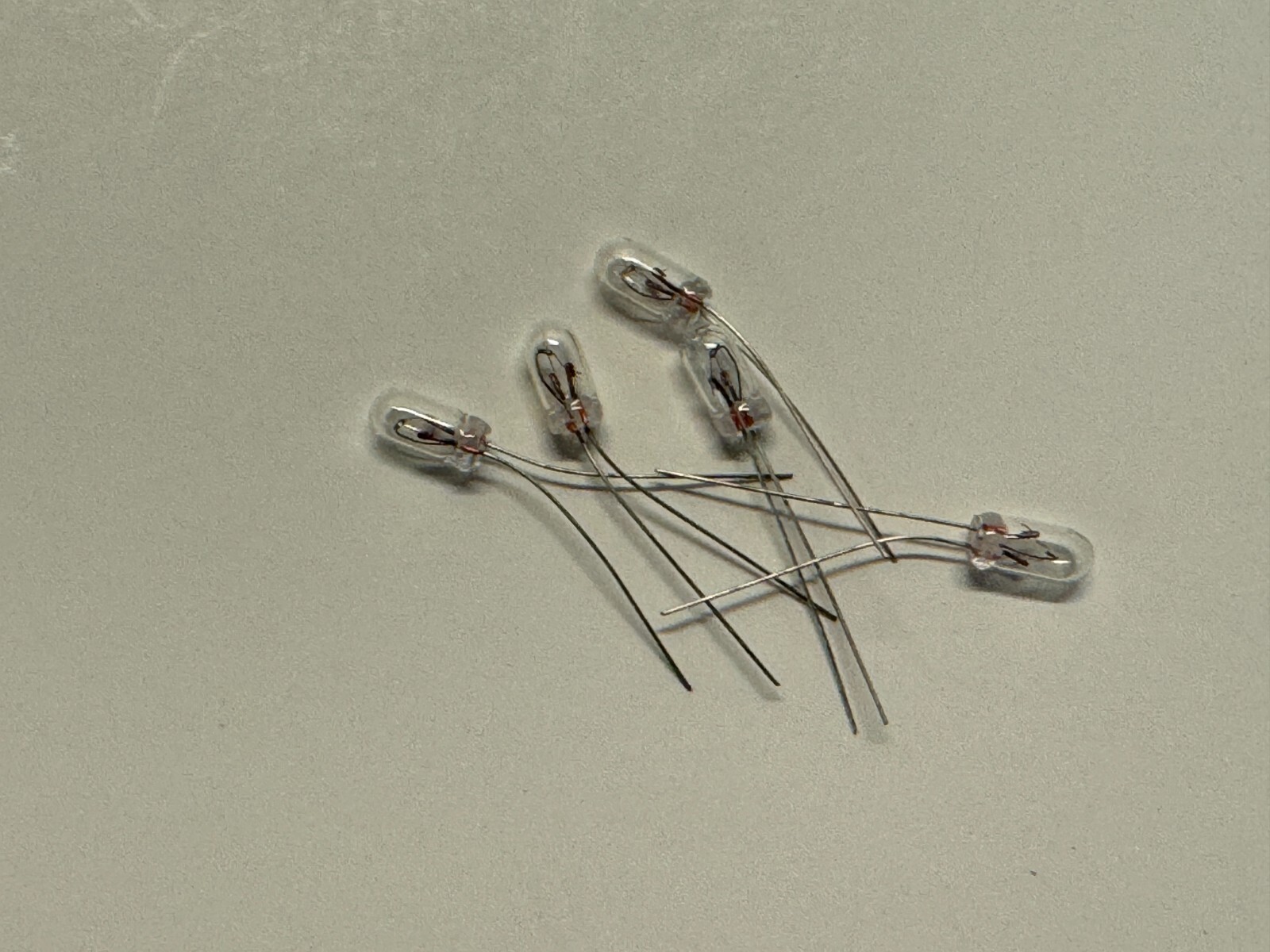 5 New Grain-of-Wheat Bulbs 6v 40mA Lamps Vintage Receiver Lights 3MM