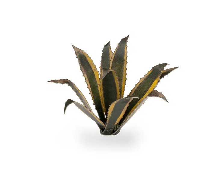 Gamers Grass: Laser Plants - Agave