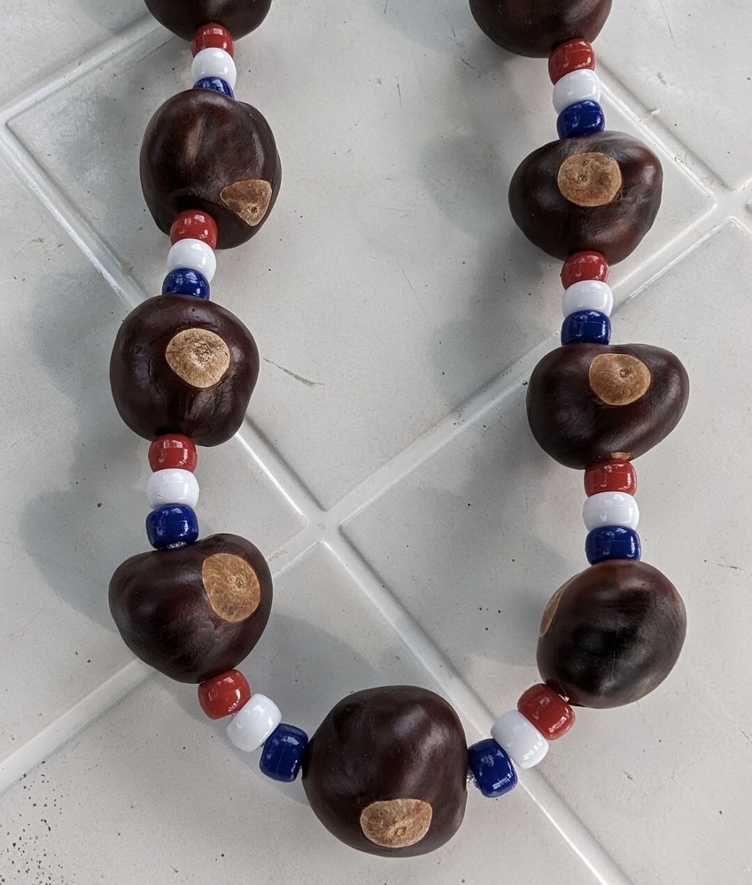 Ohio State Buckeye necklace