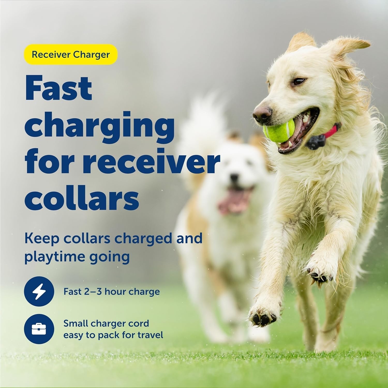 PetSafe Receiver Charger - Fast Charging Collar Cable - USB Charging Cord for Wi