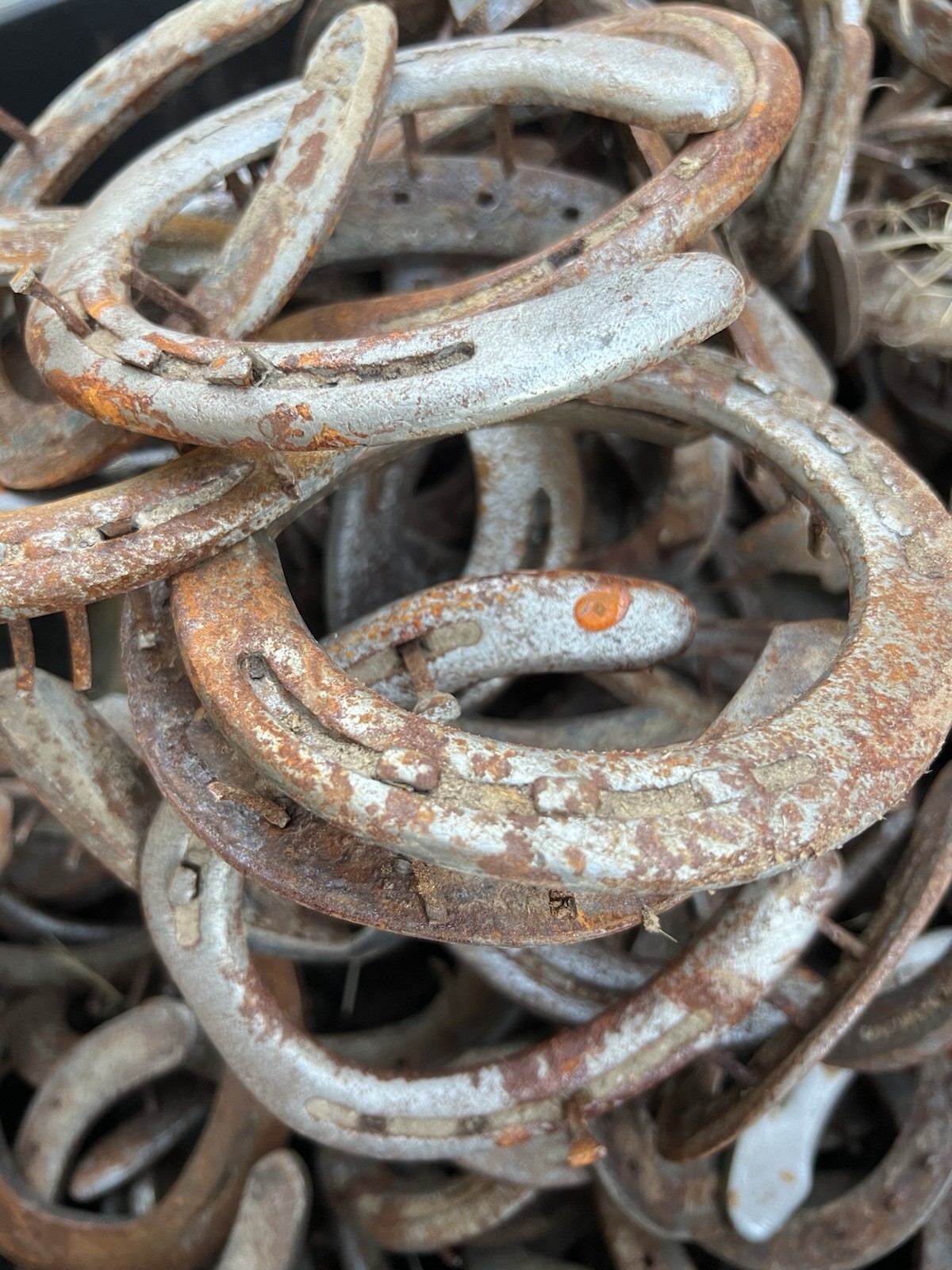 50 Used Steel Nevada Rusty Horseshoes W/Nails Lot Art Decor Rustic Western Weld