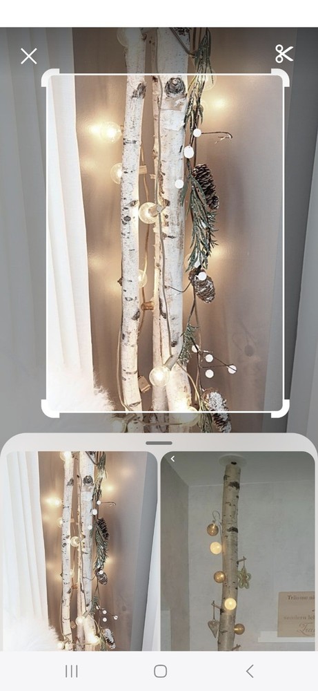 4 White Birch Poles 8'