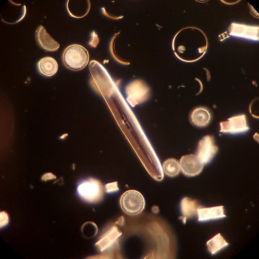 American Optical Darkfield Oil Condenser