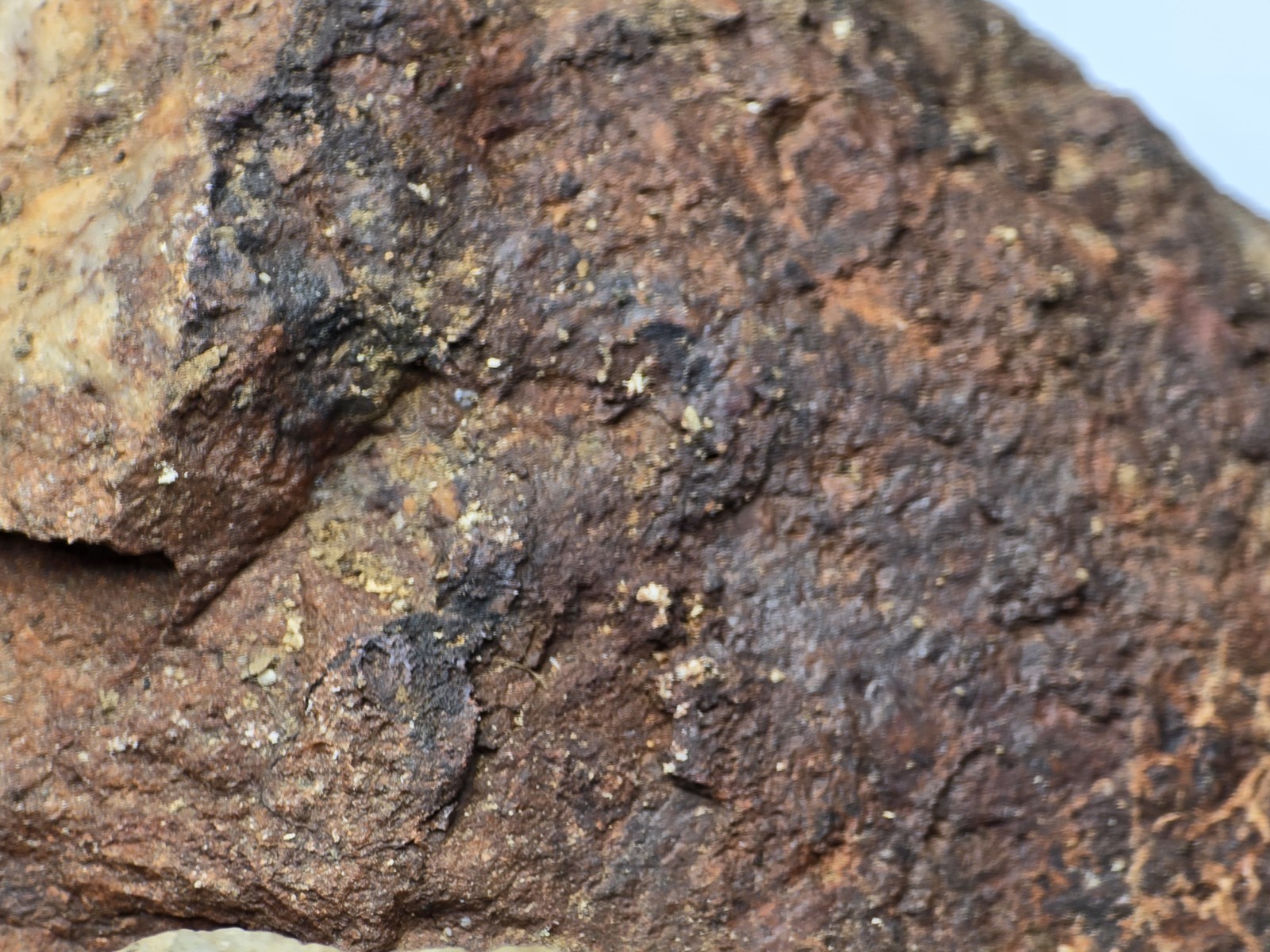 10+ lb Hard Rock Gold, Silver, Copper, Platinum, Ore from Nevada Mine Blind Grab