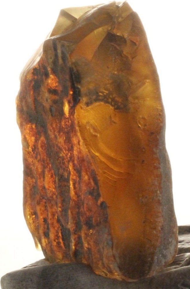 ++ CHOICE! Mexican Amber Raw 29g ++