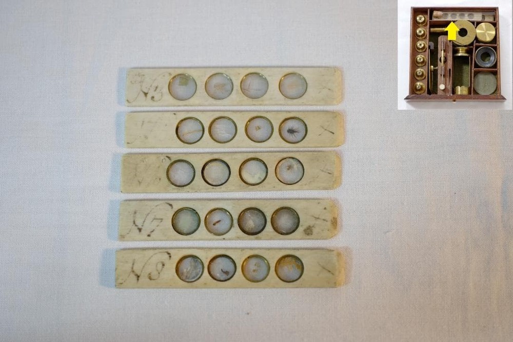 microscope antique John Richardson's cuff microscope