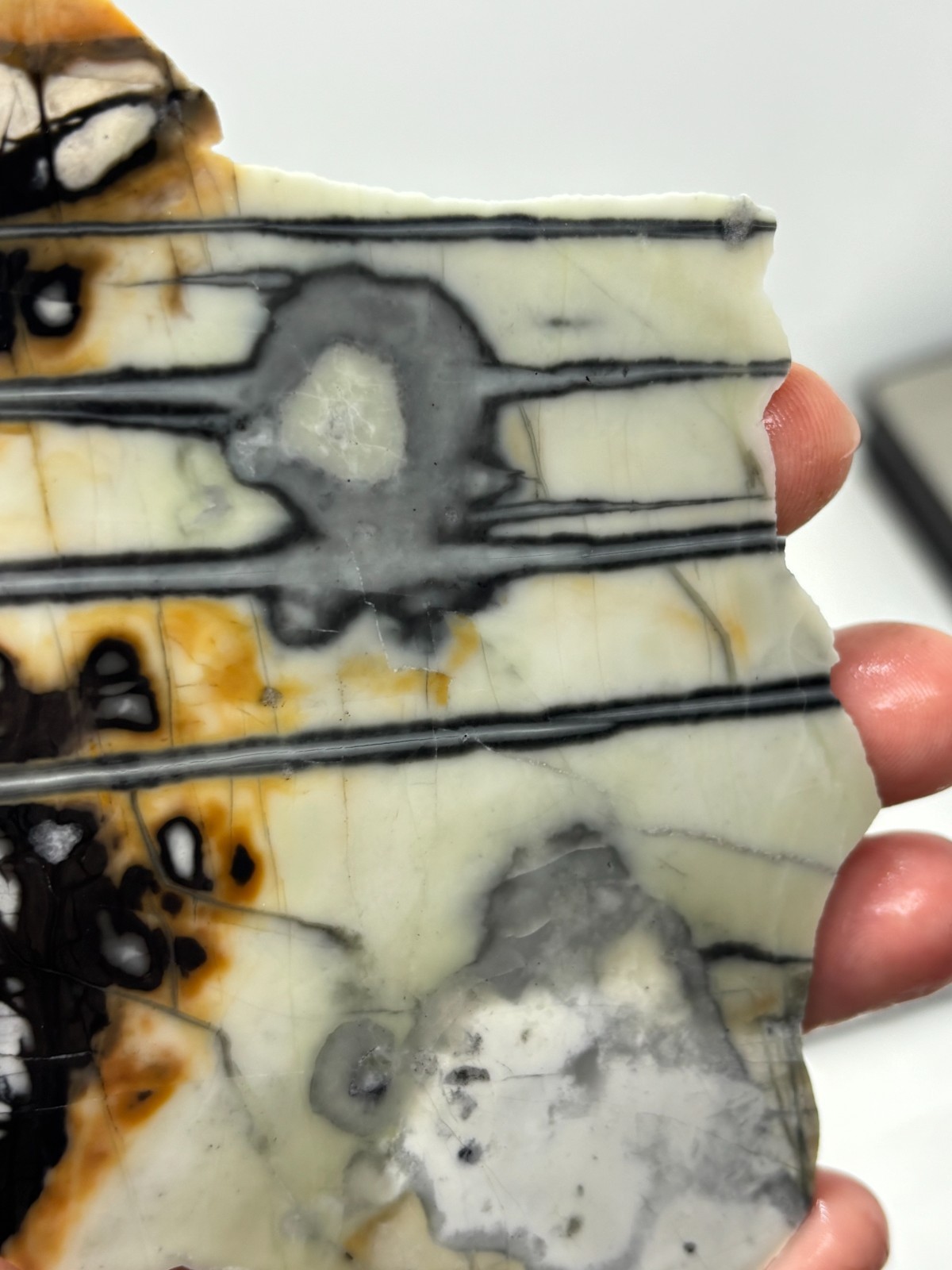 Picasso Marble (Jasper) end Slab Cabbing Lapidary Utah Combo Ship Avail