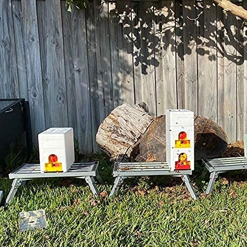 Bee Hives Boxes Plus Double Layer Queen Bee Mating Nuc Box Nuc Box for Bees Quee