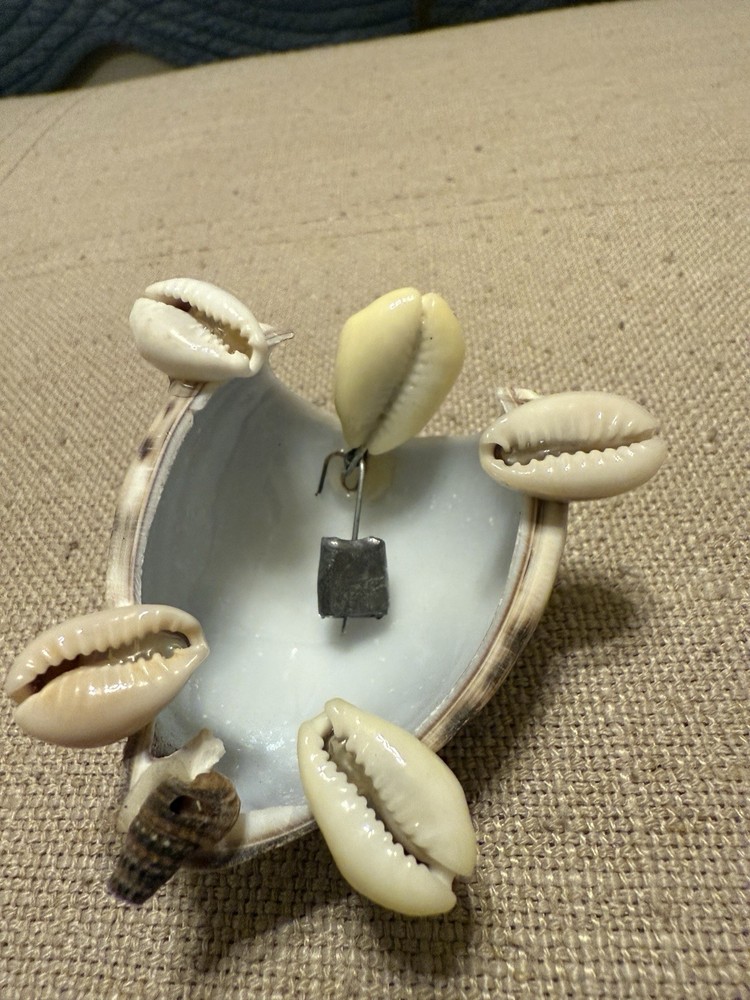 Hand Made Bobble Head Cowrie Shell Turtle With Glasses
