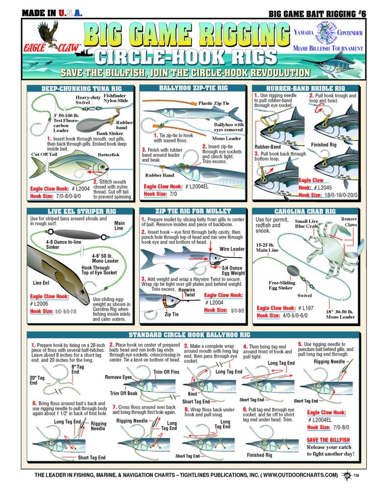 Saltwater Bait Rigging #6 (Circle-Hook Rigs)- Reference Guide
