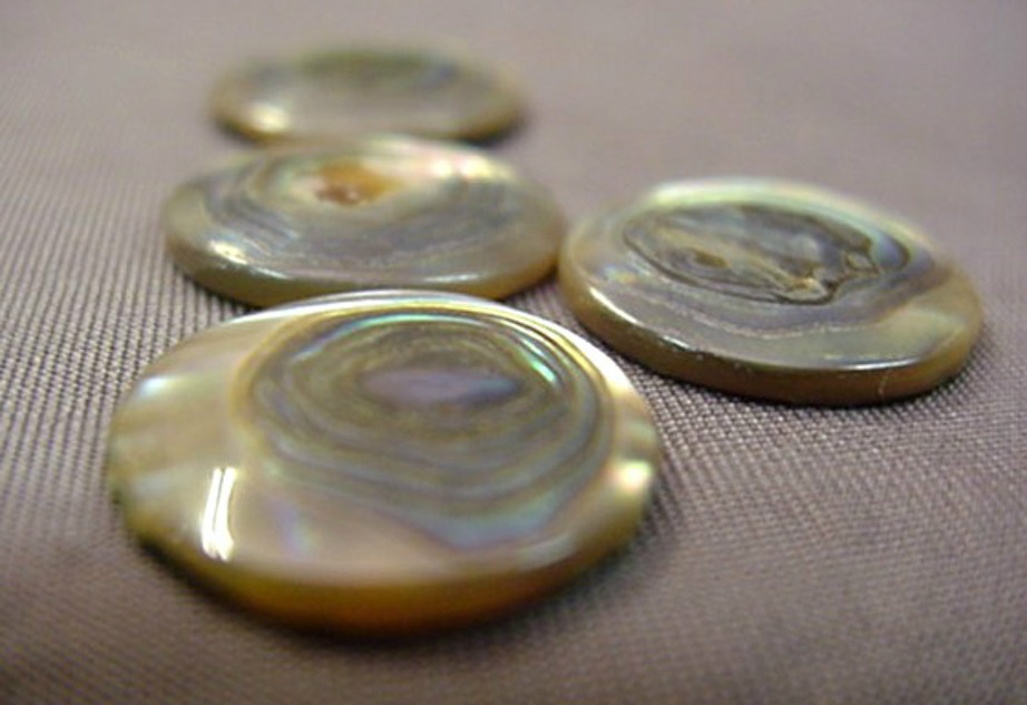 ABALONE CAPS FOR GUITAR KNOB REPAIRS OR MAKING