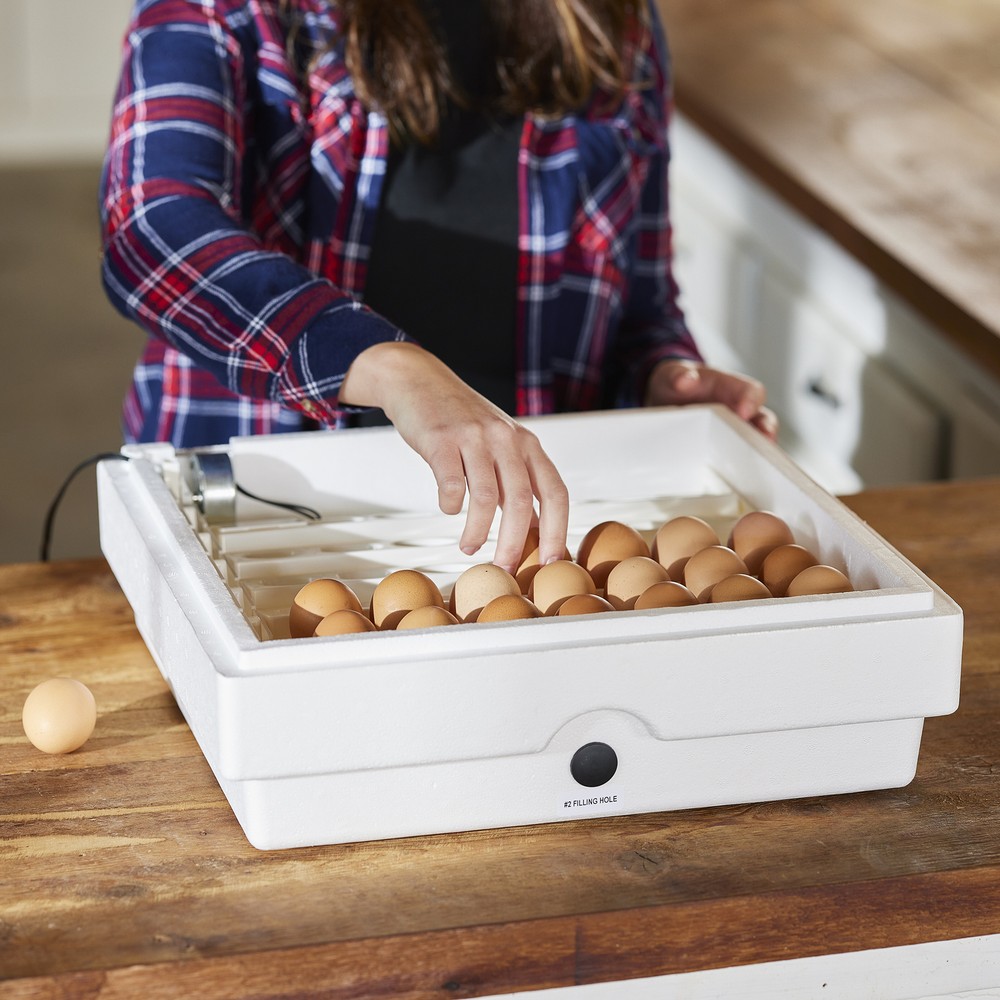 Farm Innovators 3200 Automatic 41 Spot Egg Turner for Improved Hatching, White