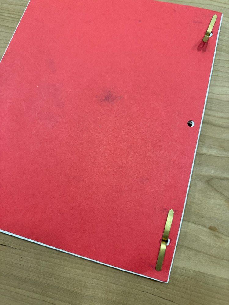 Family Matters TV Show Script