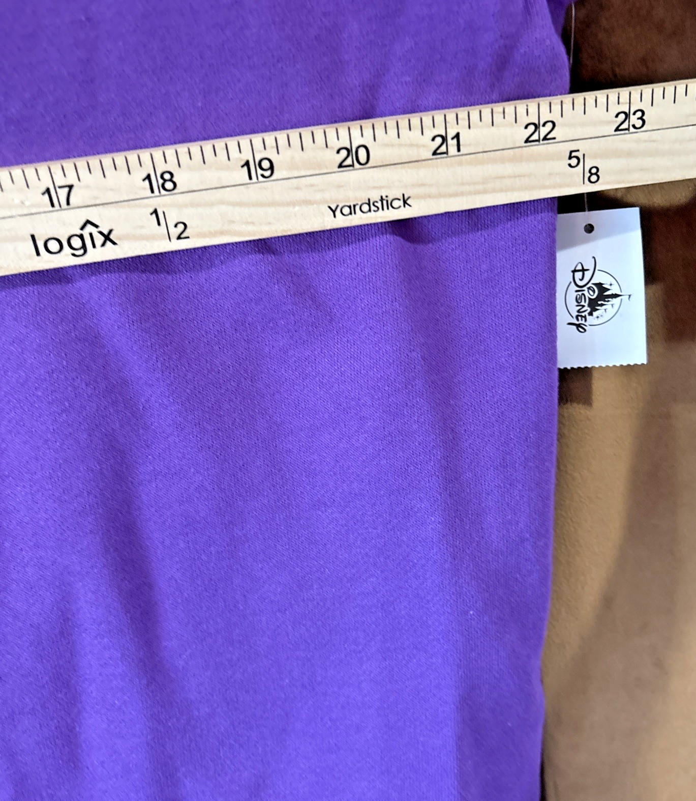 Disney Parks 2026 WDW Figment Sweatshirt Size Medium New 🔥🌟 NWT