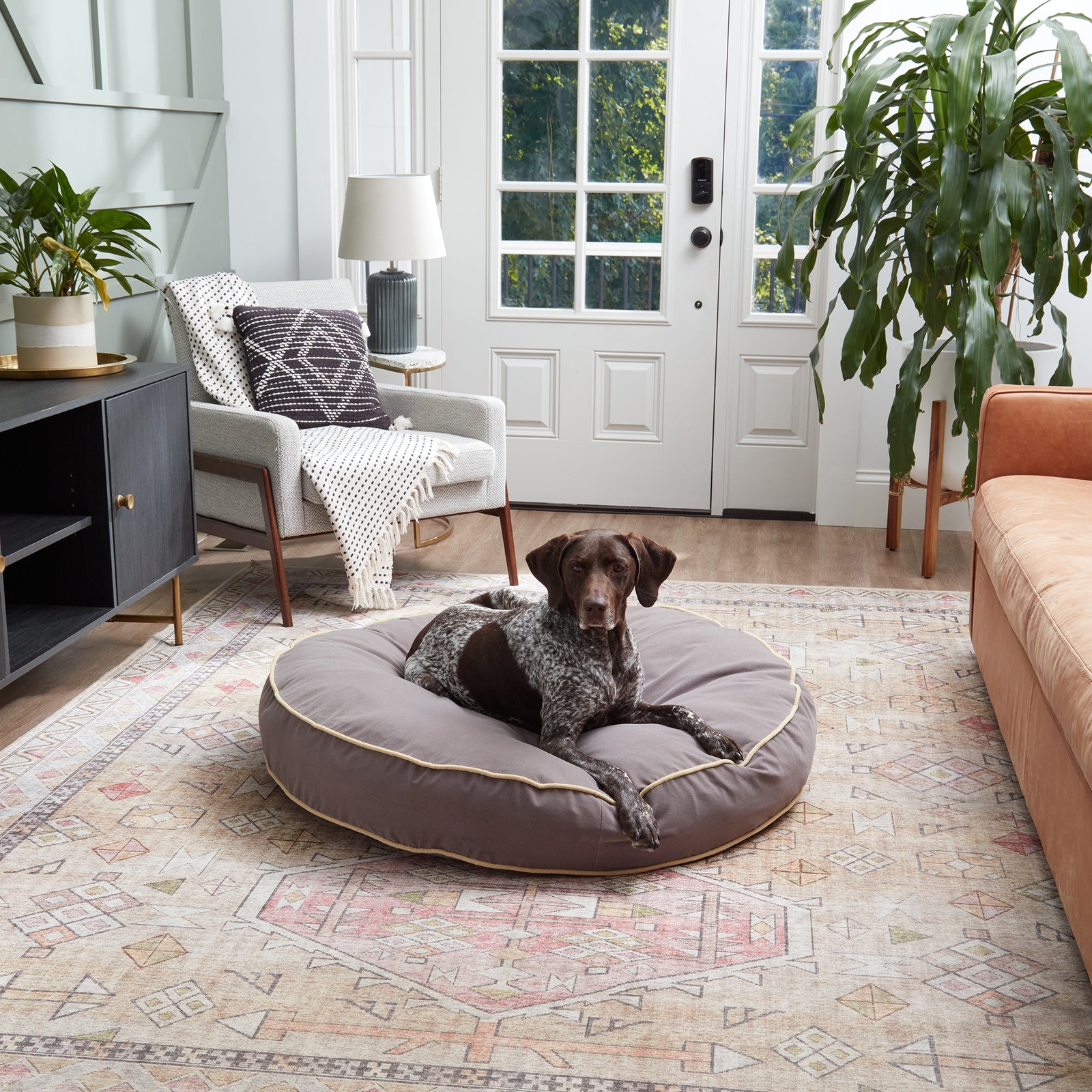 Scout Deluxe Round Microfiber Pillow Dog Bed
