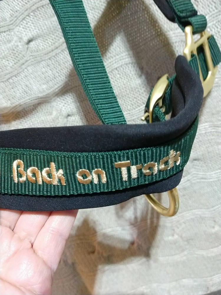 Back on Track Werano halter Green pony size (r)