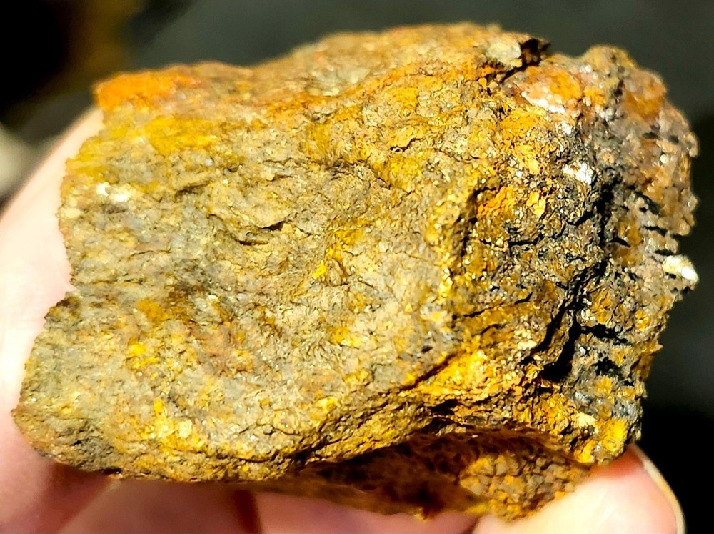Gold Ore Specimen / Visible Gold