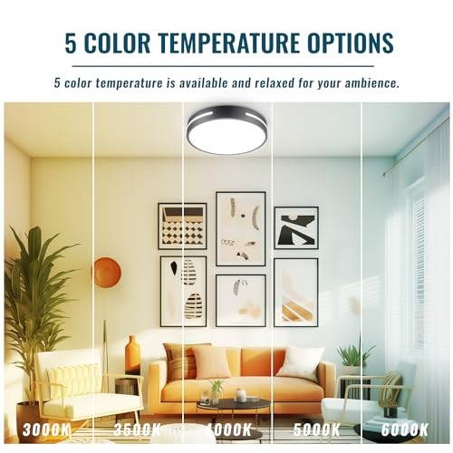 LED Ceiling Light Flush Mount 24W Kitchen Light Fixture Ceiling 12INCH Black