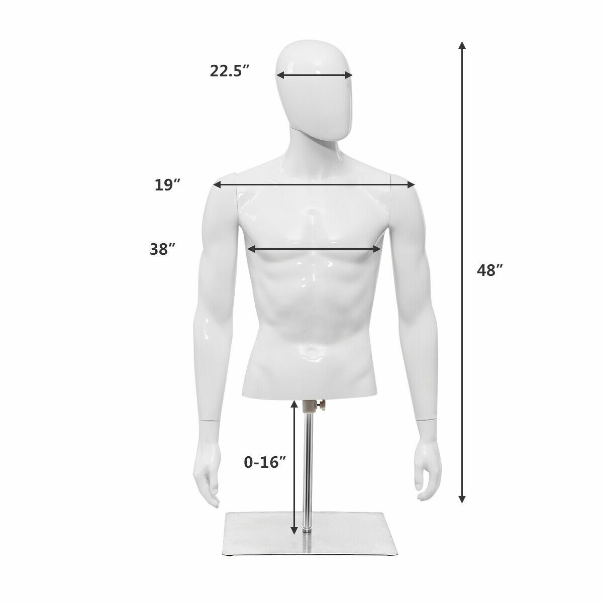 Half Body Mannequin Form Male Head Turn Display White