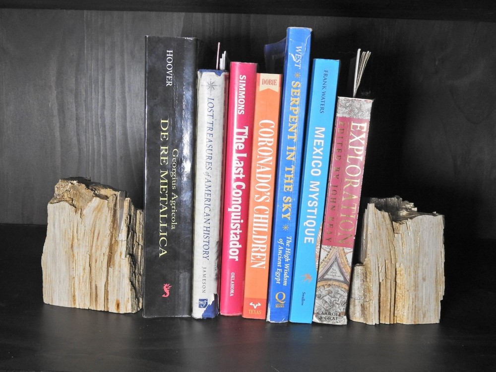 Book Ends Petrified Wood