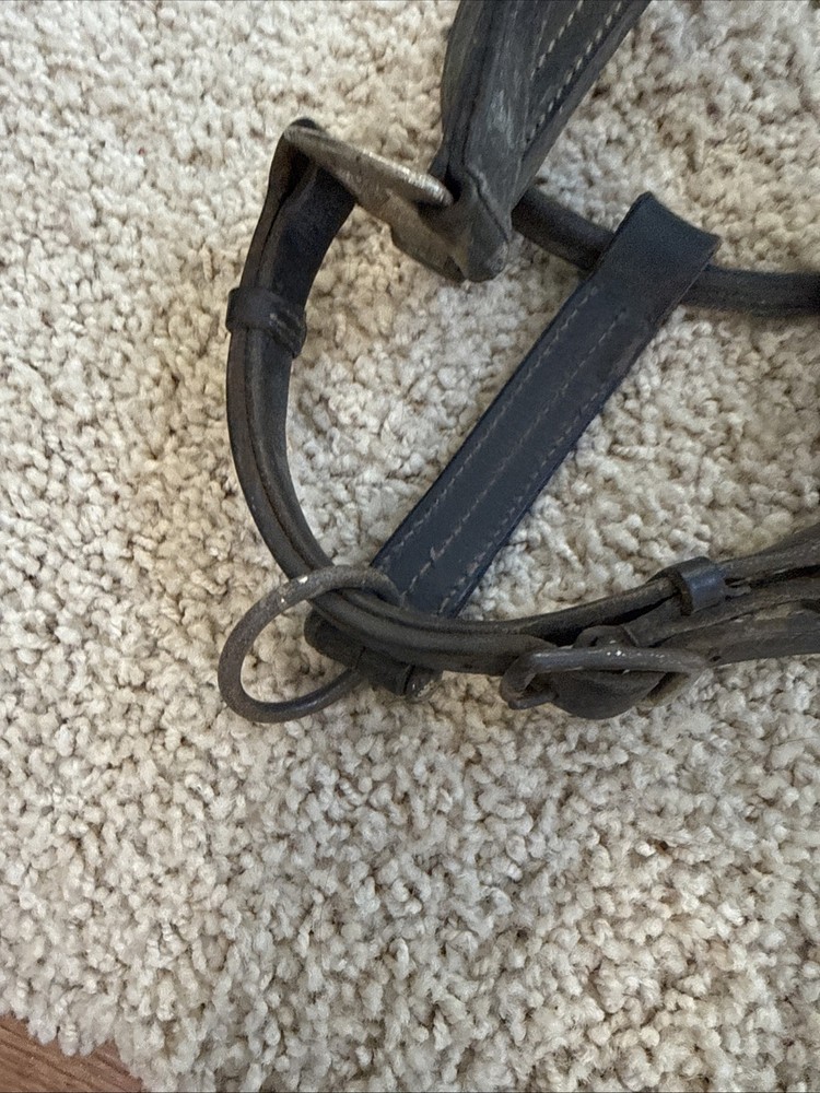 BROKEN Leathed Horse Size Halter - Use For Hardware