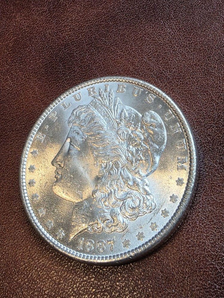 1887 & 1889 $1 Morgan Silver Dollar Blast White