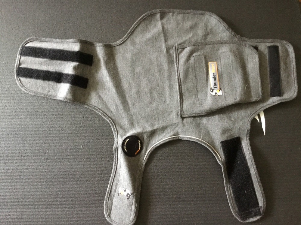 Medium Dog Thunder Shirt
