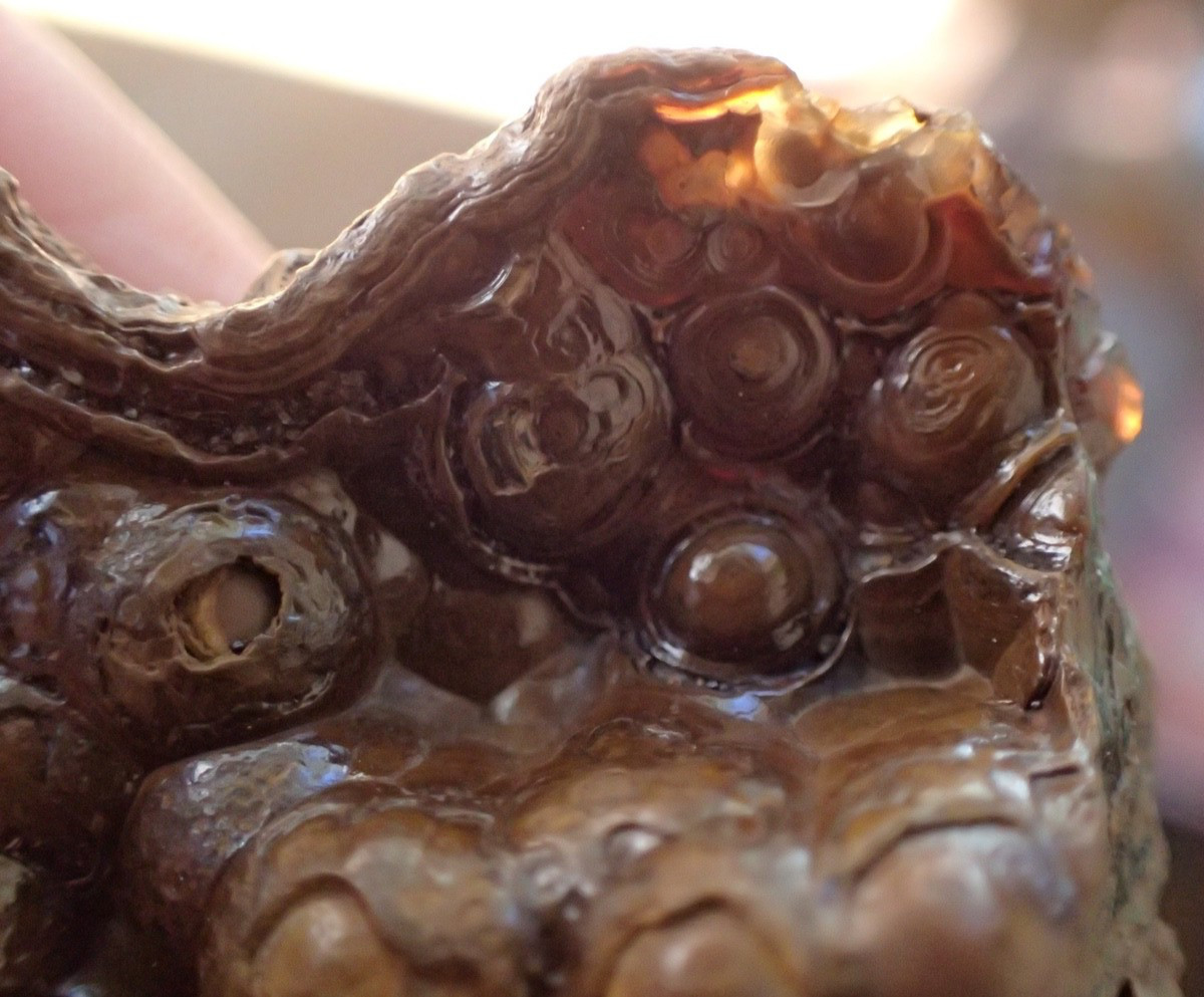 Botryoidal Fossil Coral Geode Fragment GA Agate Amber Display Sea Specimen WC51