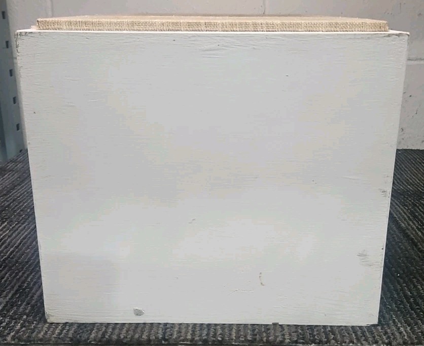 Dynaco A-25 Speaker Pair - White