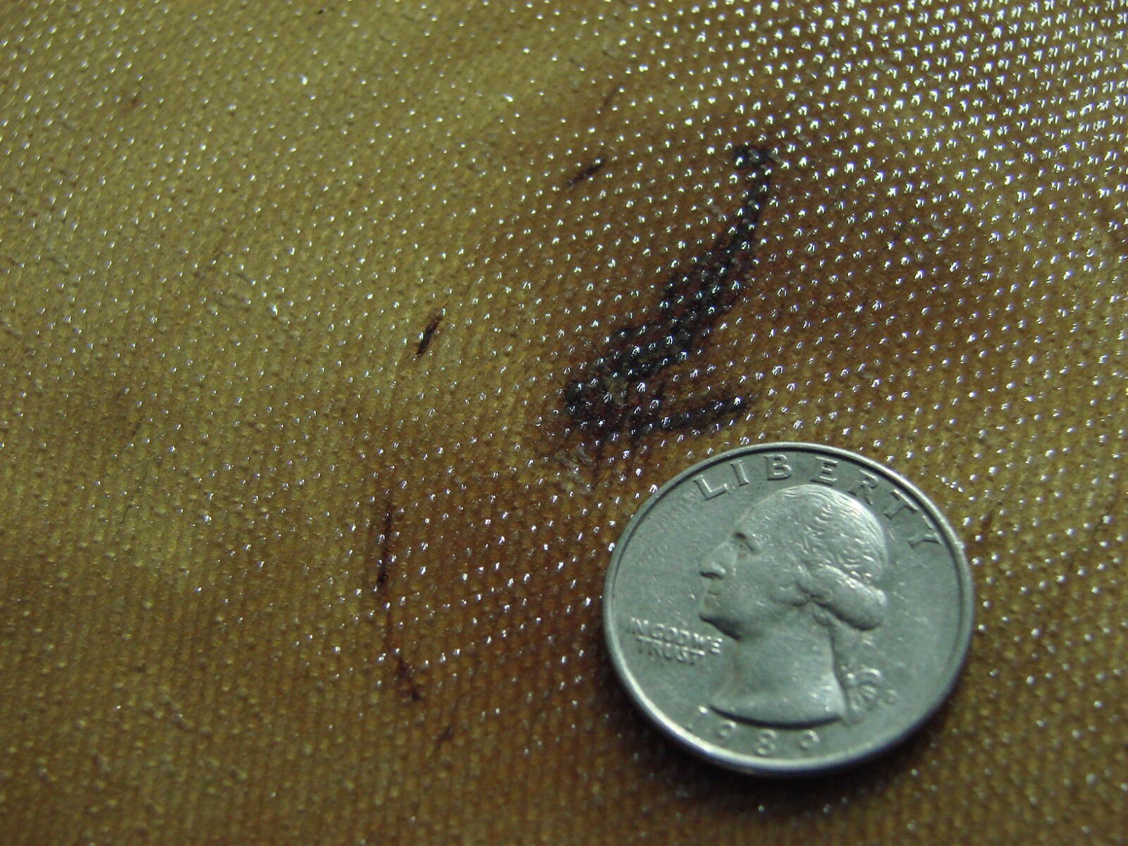 Epoxy Resin Thin Injectable Glue 4 RY Panel Delamination & Wood Rot Repair