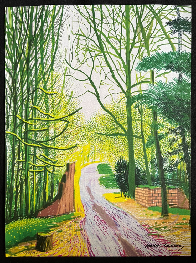 David Hockney Lithograph COA Original Signed Op Numbered Limited &