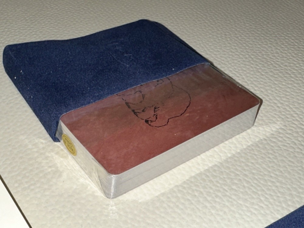 Open Box, In Box, Michael Graves Design Poker Set - PLEASE READ
