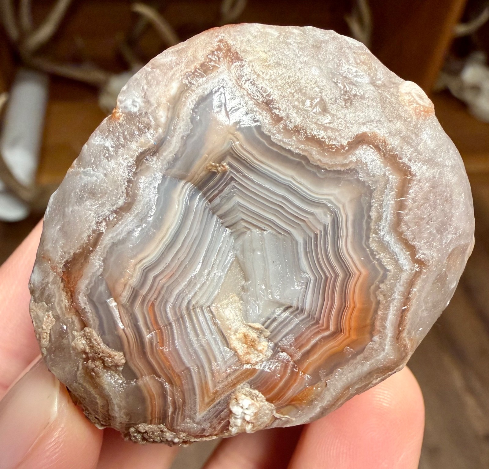 4.55oz LAKE SUPERIOR AGATE 2 GREAT FIRE & ICE COLORED BANDED FACES NEAT