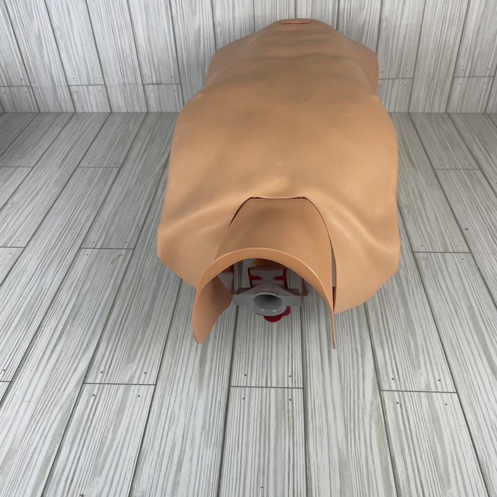 Ambu training CPR Multiman manikin With Hygienic System-TED