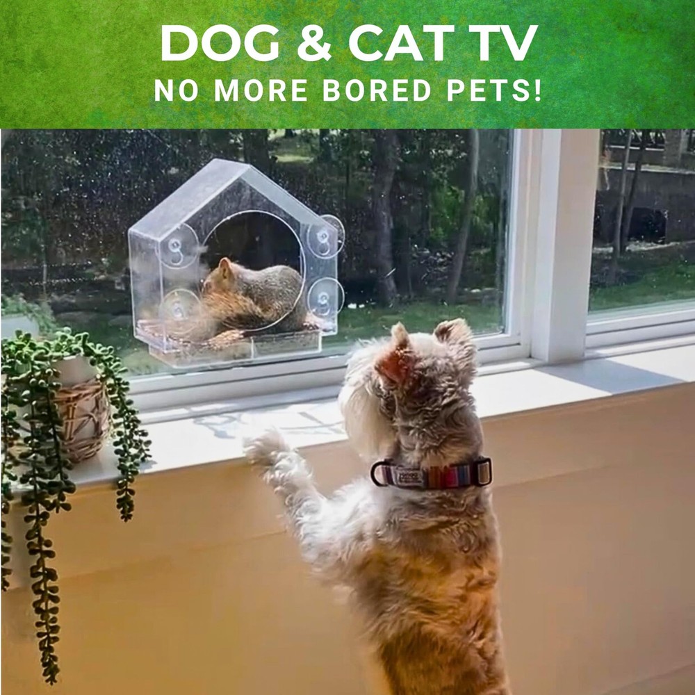 Window Squirrel Feeder - Funny Chipmunk Feeder - Easy Install - No Assembly