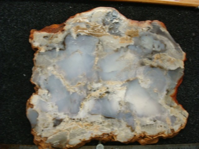 burro creek agate slab