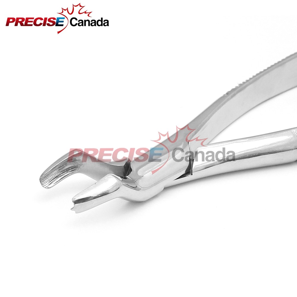 PRECISE CANADA PEDO Dental Surgery Tooth Extracting Forceps# 53L