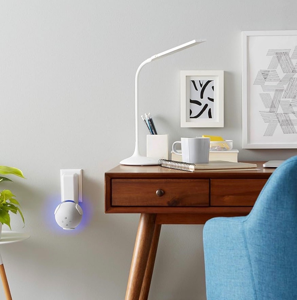 Outlet Hanger, White, for Echo Dot (4th generation)