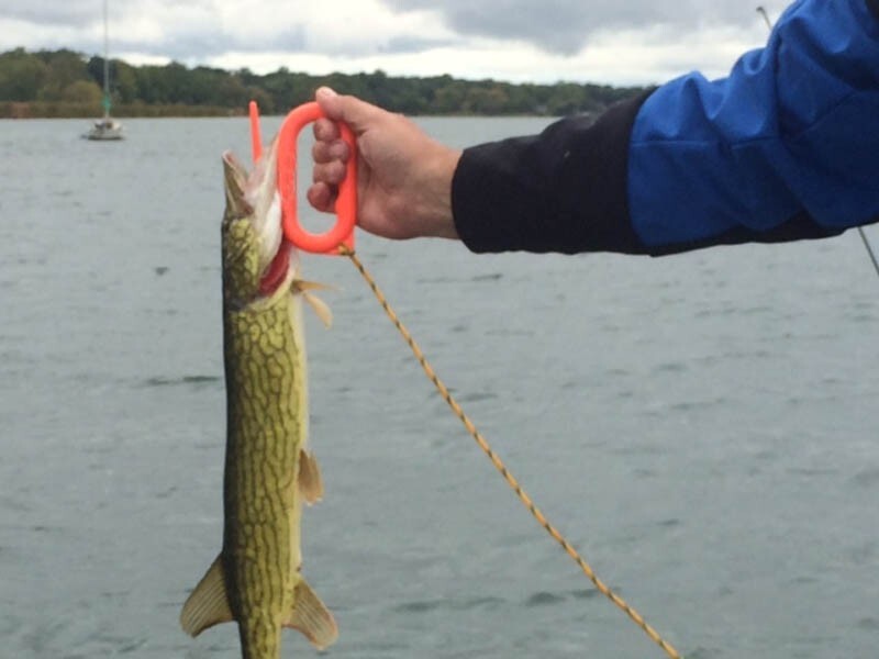 FISHING FISH LIFTER GRIP GRIPPER HOLDER HANDLE HOOK EASY GILL GRABBER