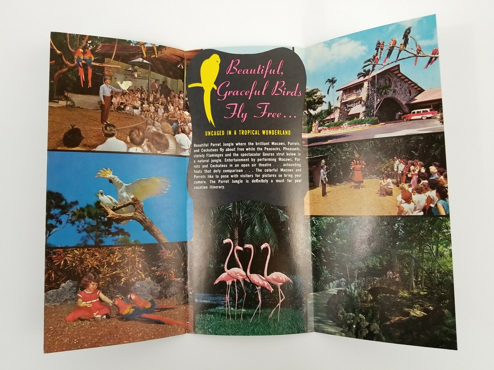Vintage PARROT JUNGLE Miami Travel Guide Brochure