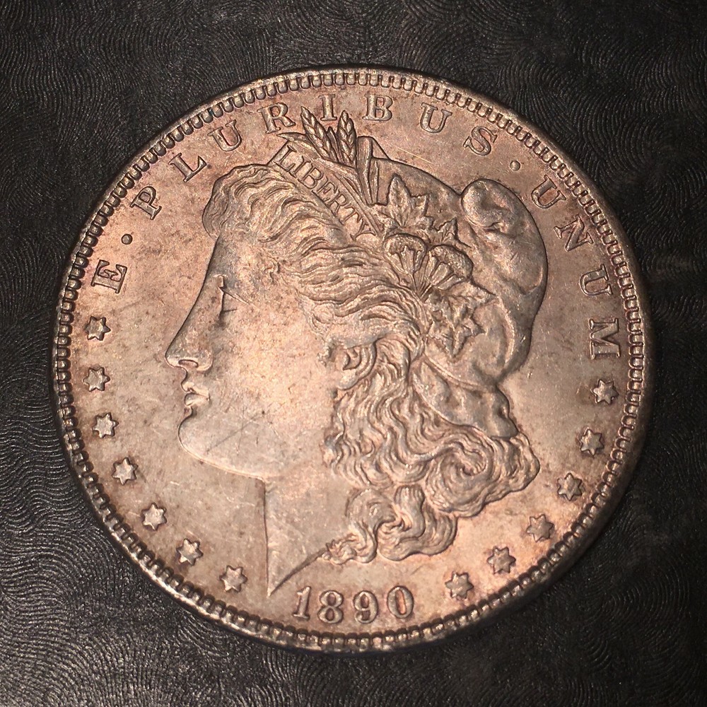 1890 Morgan Silver Dollar - High Quality Scans #i153