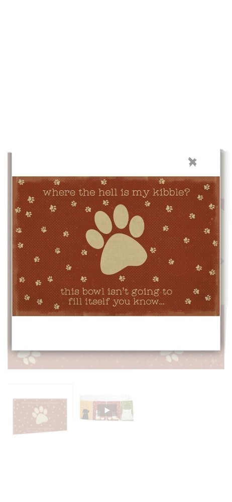 Pet Mat Lg -Where Is My Kibble?