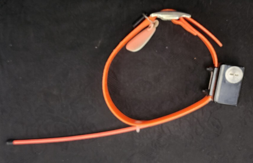 Innotek Dog Tracking Collars