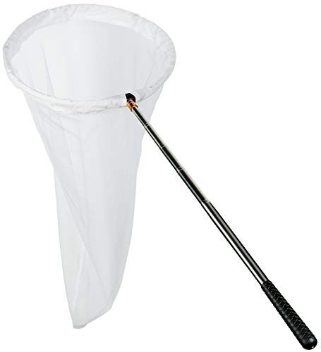 Insect & Butterfly Net - 12" Ring, 24" Depth, Extendable Handle 59" - Catch & Ob