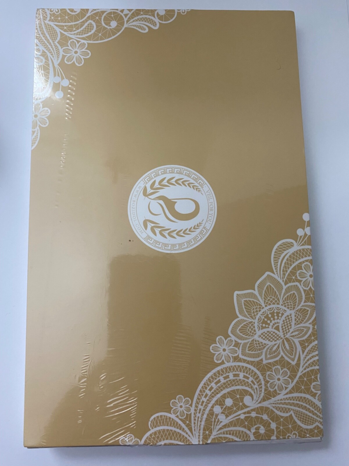 Head Veil Mantilla Catholic Church Veil Head Cover Our Lady Lourdes Embroidered