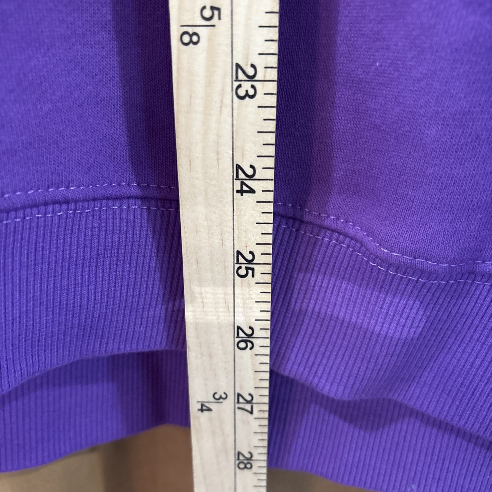 Disney Parks 2026 WDW Figment Sweatshirt Size Medium New 🔥🌟 NWT